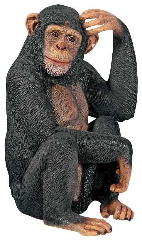 Monkey Scratching Head