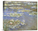 "Nymphas, 1905" Artwork, 16" x 14"