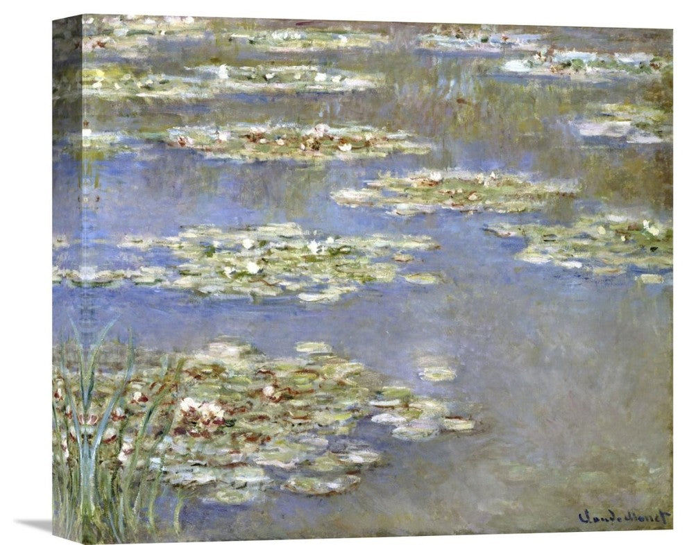 "Nymphas, 1905" Artwork, 16" x 14"