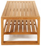 Teak Coffee Table with Shelf Seville - Rectangular 47 x 24" (120 x 60 cm)