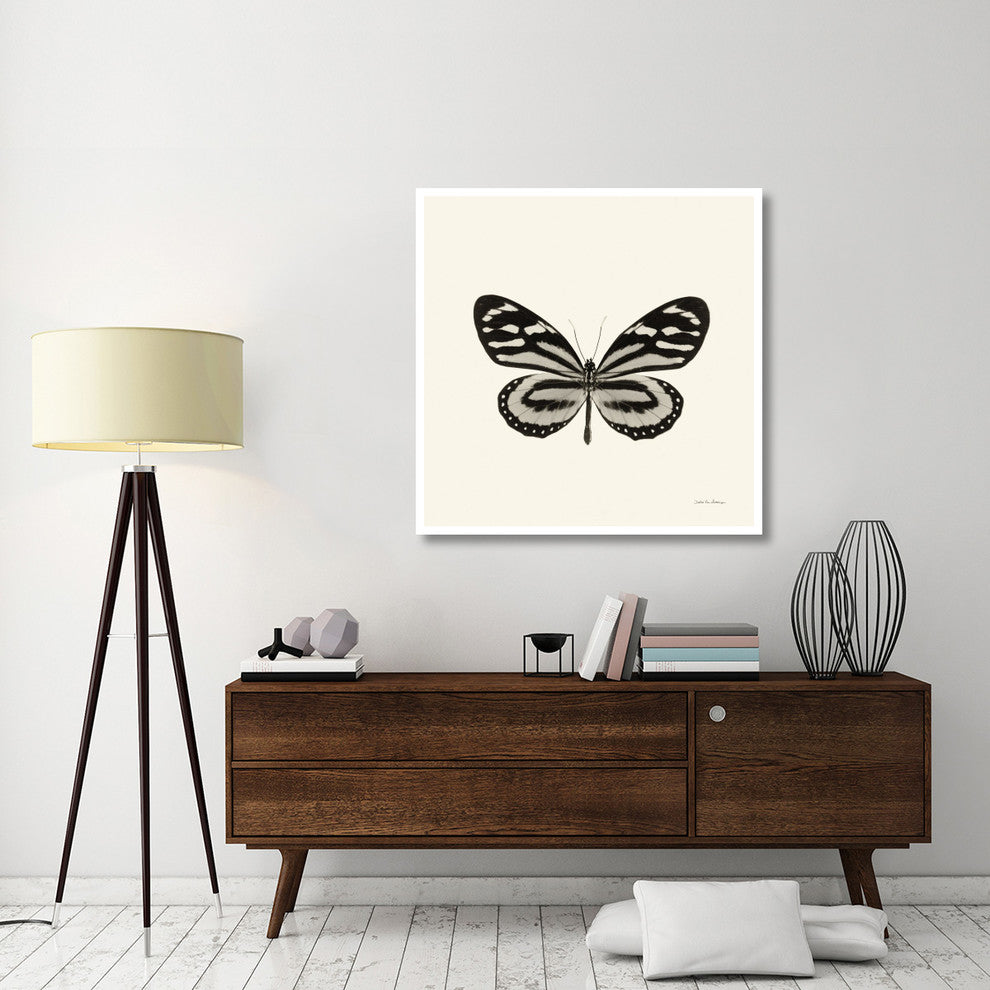 "Butterfly VIII - BW" Digital Paper Print by Debra Van Swearingen, 42"x42"
