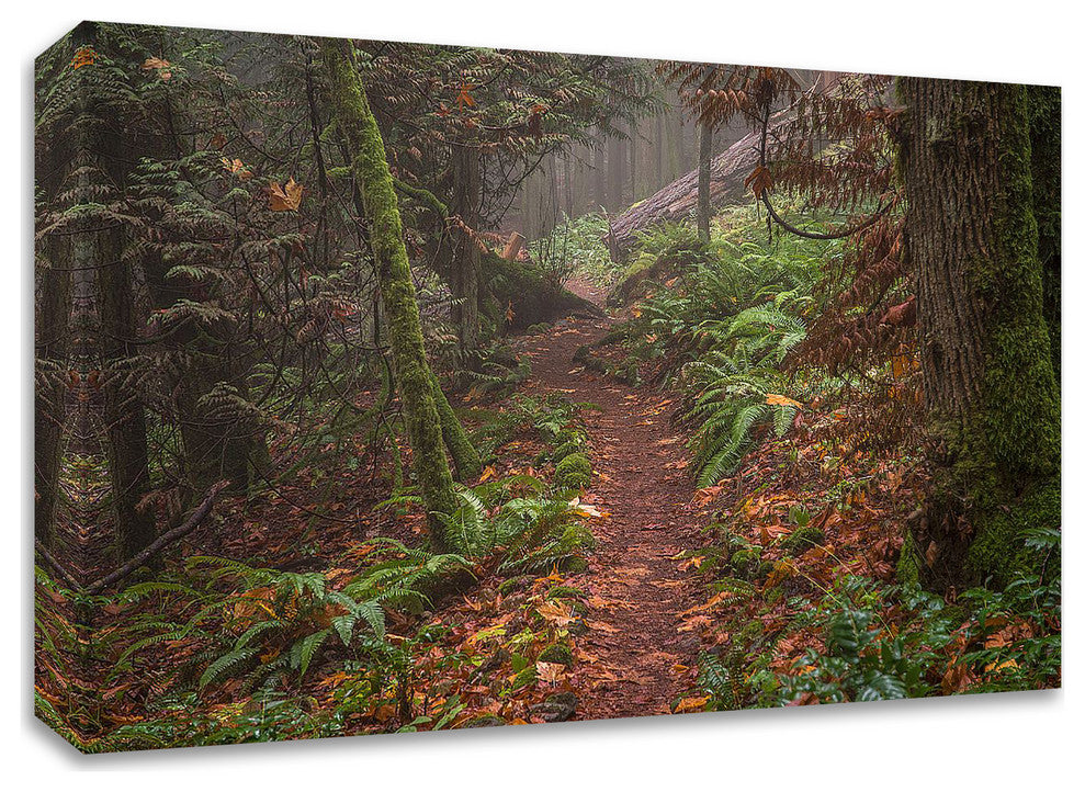 Forest Stroll by Tim Oldford, Print on Canvas, 36"x24"