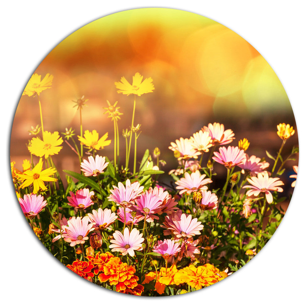 Beautiful Multi-Color Flowers, Floral Round Wall Art, 11"