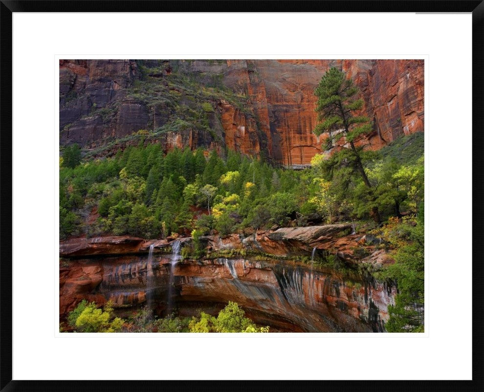 Cascades and Desert Varnish At Emerald Pools, Zion National Park, Utah, 30"x24"