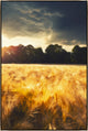 30x45 Here and Elsewhere II, Framed Artwork, Silver