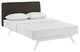 Modway Tracy Queen Bed, White Brown