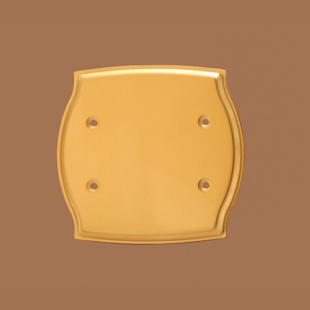 Switchplate Bright Solid Brass Double Blank |