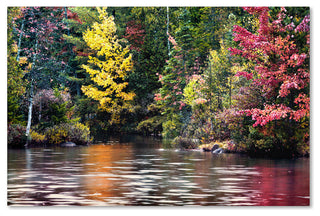 'Adirondacks' Canvas Art by David Ayash