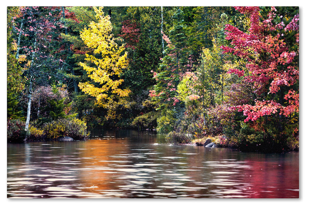 'Adirondacks' Canvas Art by David Ayash