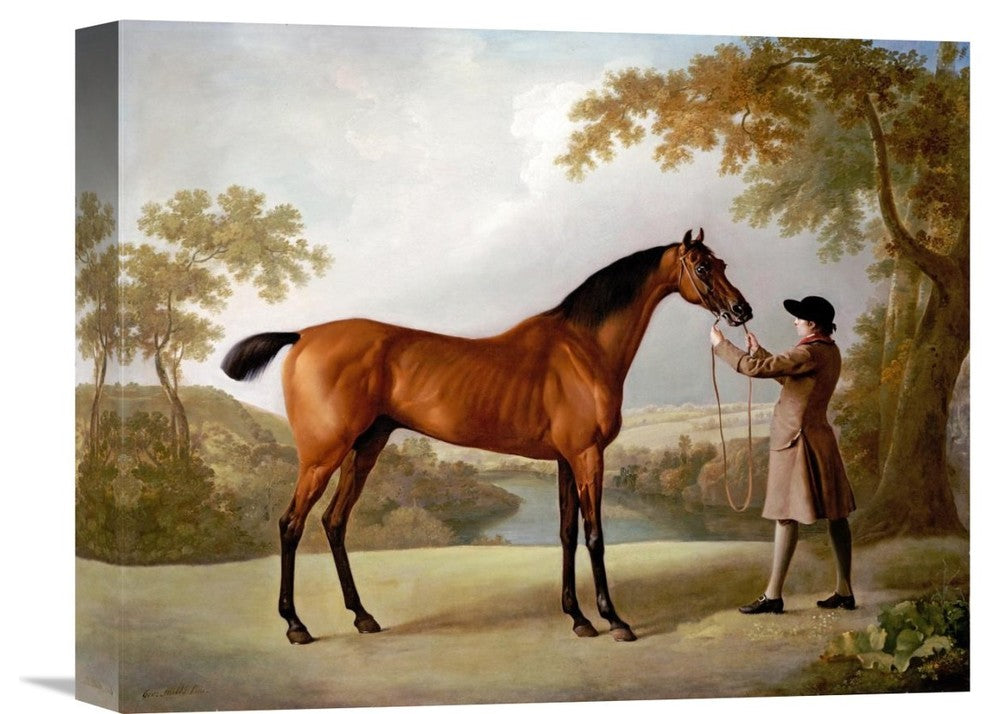 "Tristram Shandy" Stretched Canvas Giclee by George Stubbs, 16"x13"