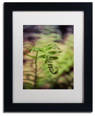 PIPA Fine Art 'Growth of the Forest Floor' Matted Framed Art, 14x11