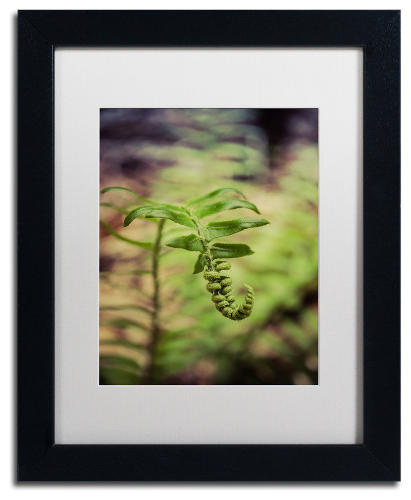 PIPA Fine Art 'Growth of the Forest Floor' Matted Framed Art, 14x11