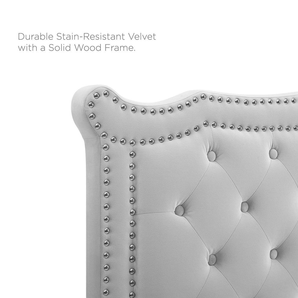 Platform Bed Frame, Nailhead, Queen Size, Gray, Velvet, Modern