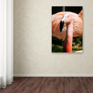 Tina Lavoie 'Pink Flamingo II' Canvas Art, 12" x 19"