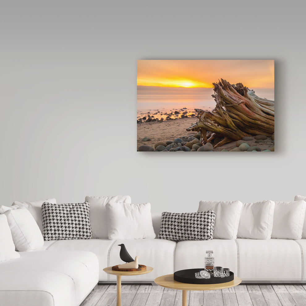 Chris Moyer ''Driftwood Sunset'' Canvas Art, 47"x30"
