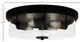 17" 4-Light Flush Mount Light, Matte Black/Clear Bubble