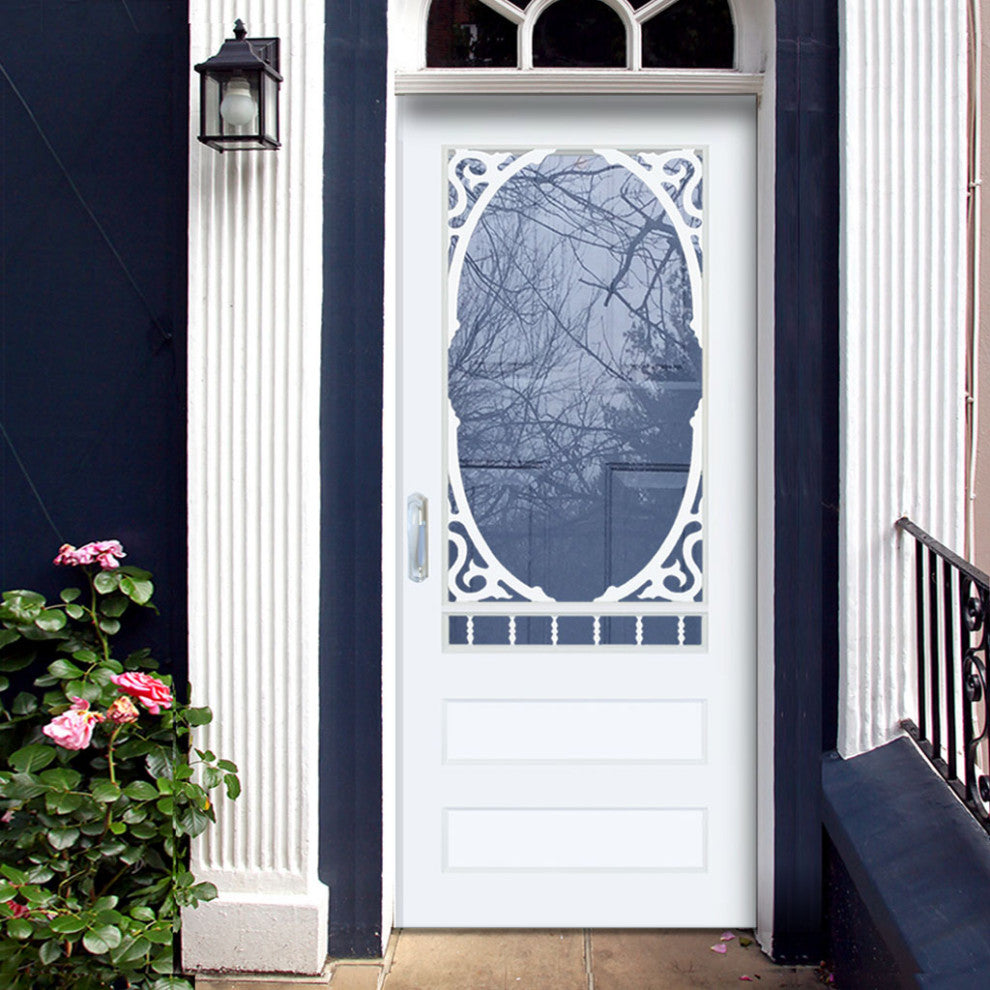 Tempered Glass Insert for Storm Door, Glass for 30" Door