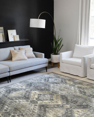 Loloi II Skye SKY-09 Graphite / Silver Area Rug