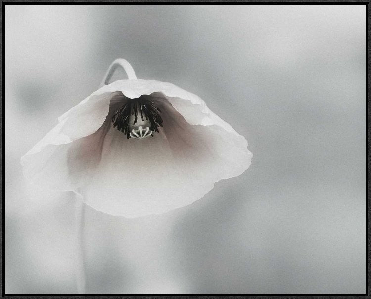 "Ephemeral Beauty" Framed Canvas Giclee by Piet Flour, 31x25"