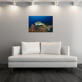 Ready2hangart Christopher Doherty Photography 'Turtle' Canvas Wall Art