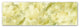 Cora Niele ''Yellow Tulip Scape'' Canvas Art