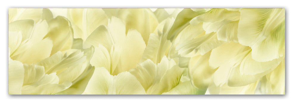 Cora Niele ''Yellow Tulip Scape'' Canvas Art