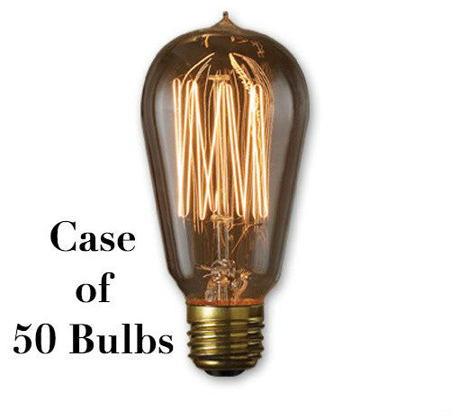 Edison Vintage 40 Watt Light Bulbs, Set of 50