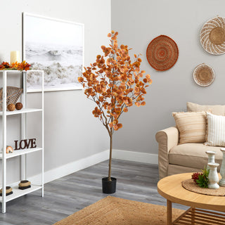 Lifestyle image showing the eucalyptus tree in a real room environment.