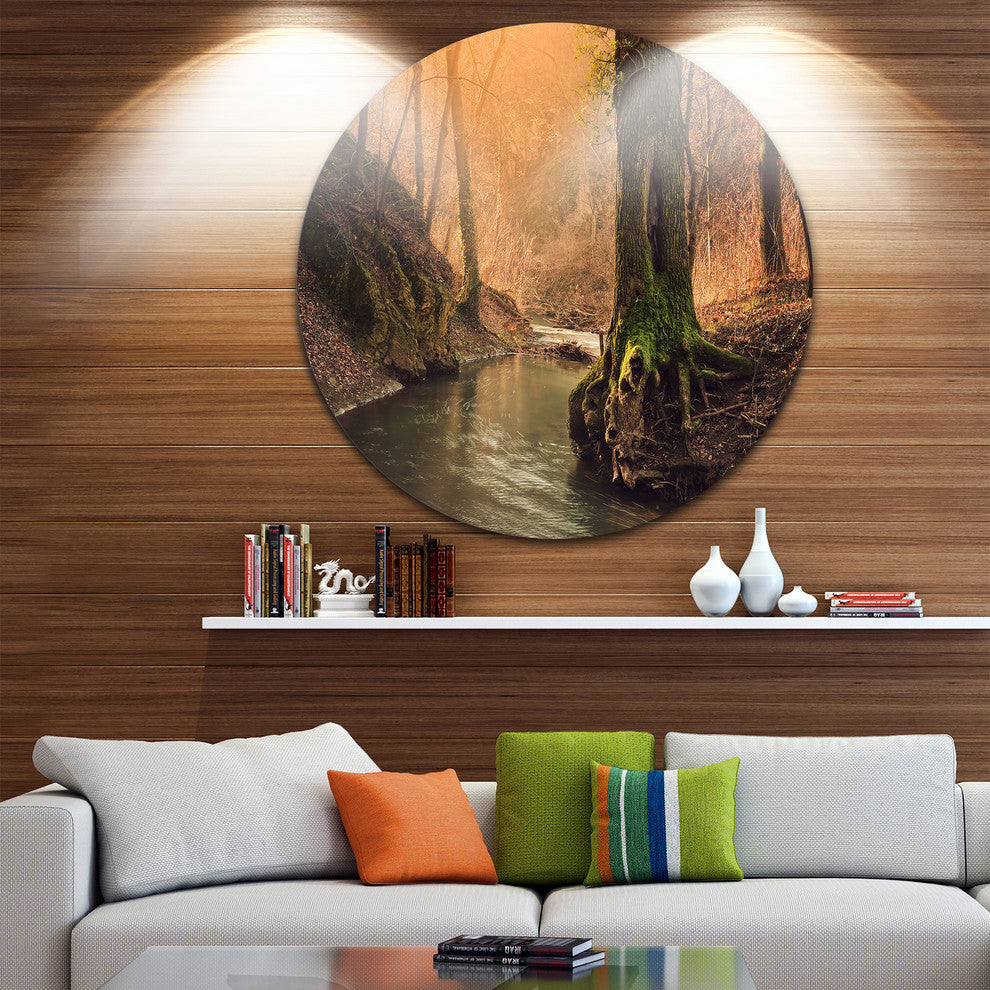 Wild Creek In National Park, Modern Forest Round Wall Art, 11"