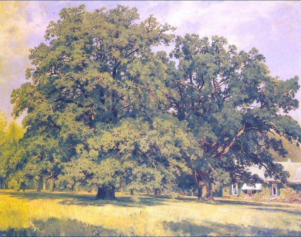Ivan Ivanovich Shishkin Mordvinov's oaks Wall Decal