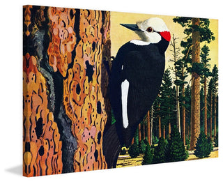"Woodpecker" Painting Print on Wrapped Canvas