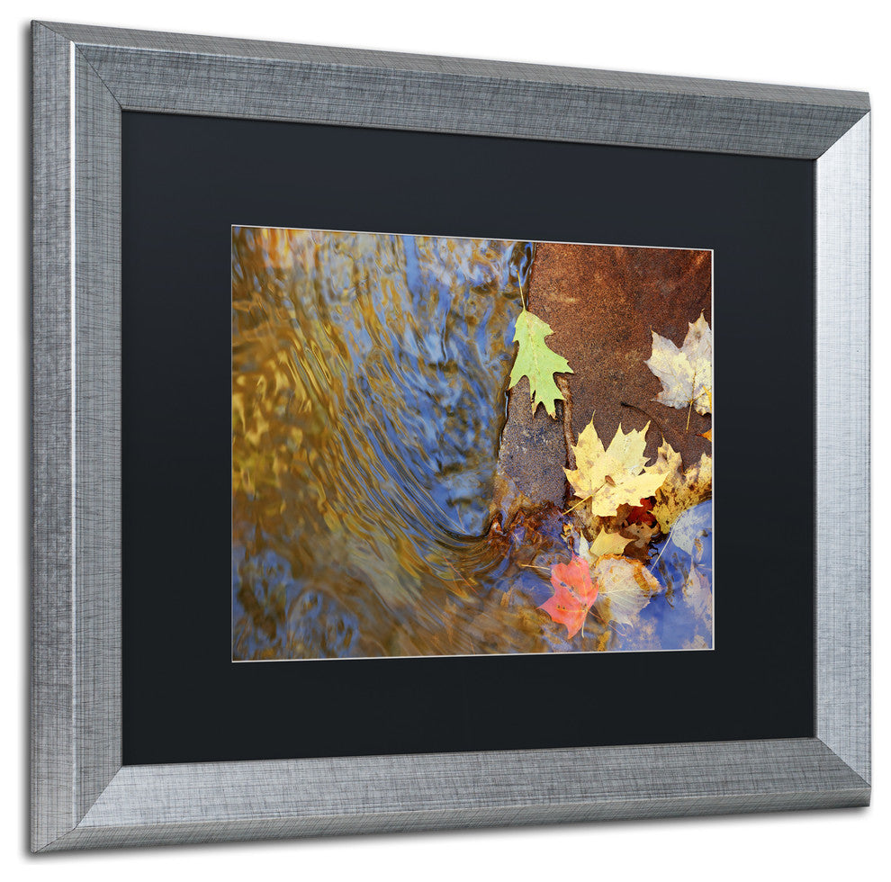 Jason Shaffer 'Arb' Matted Framed Art, Silver Frame, Black Mat, 20x16