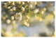 "Blush Blossoms II" Digital Paper Print by Sue Schlabach, 26"x18"