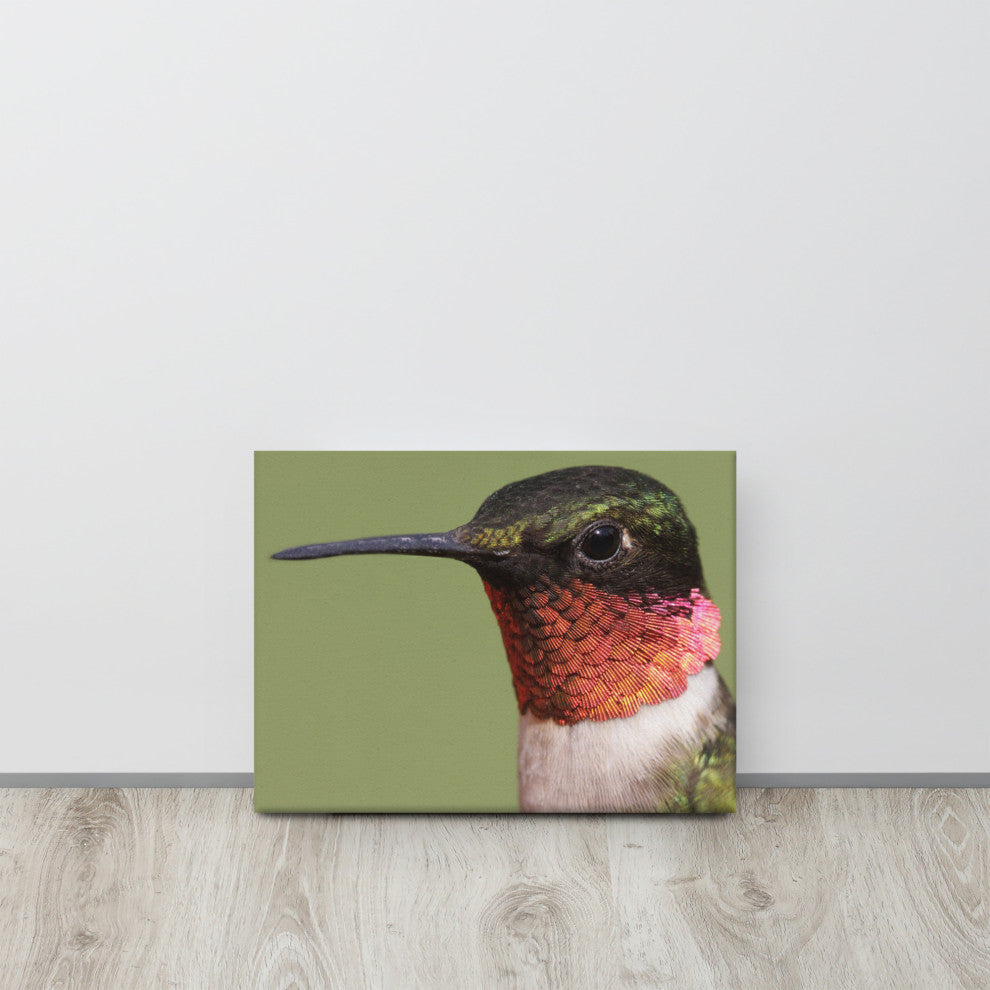 Close-up Ruby-throated Hummingbird Wildlife Photograph Canvas Wall Art Print, 12" X 16"