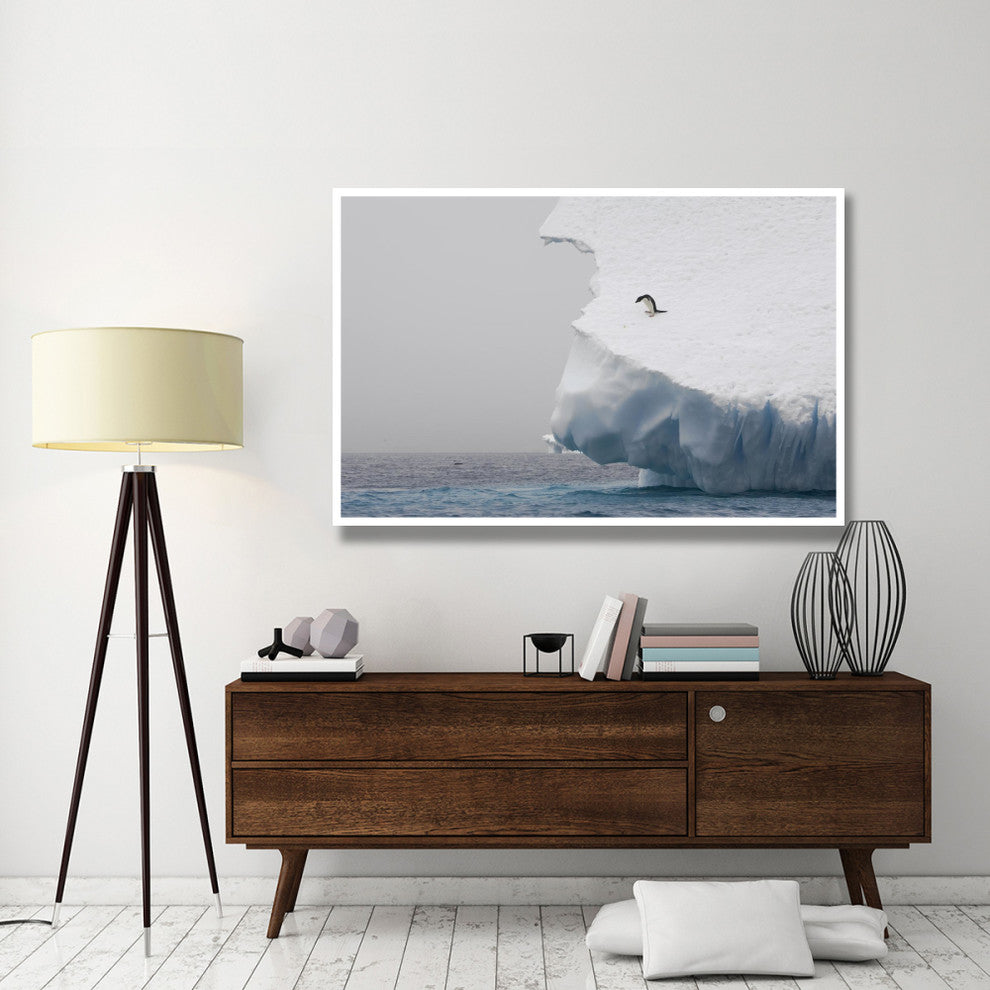 "Adelie Penguin on edge of iceberg, Paulet Island" Paper Art, 62"x42"