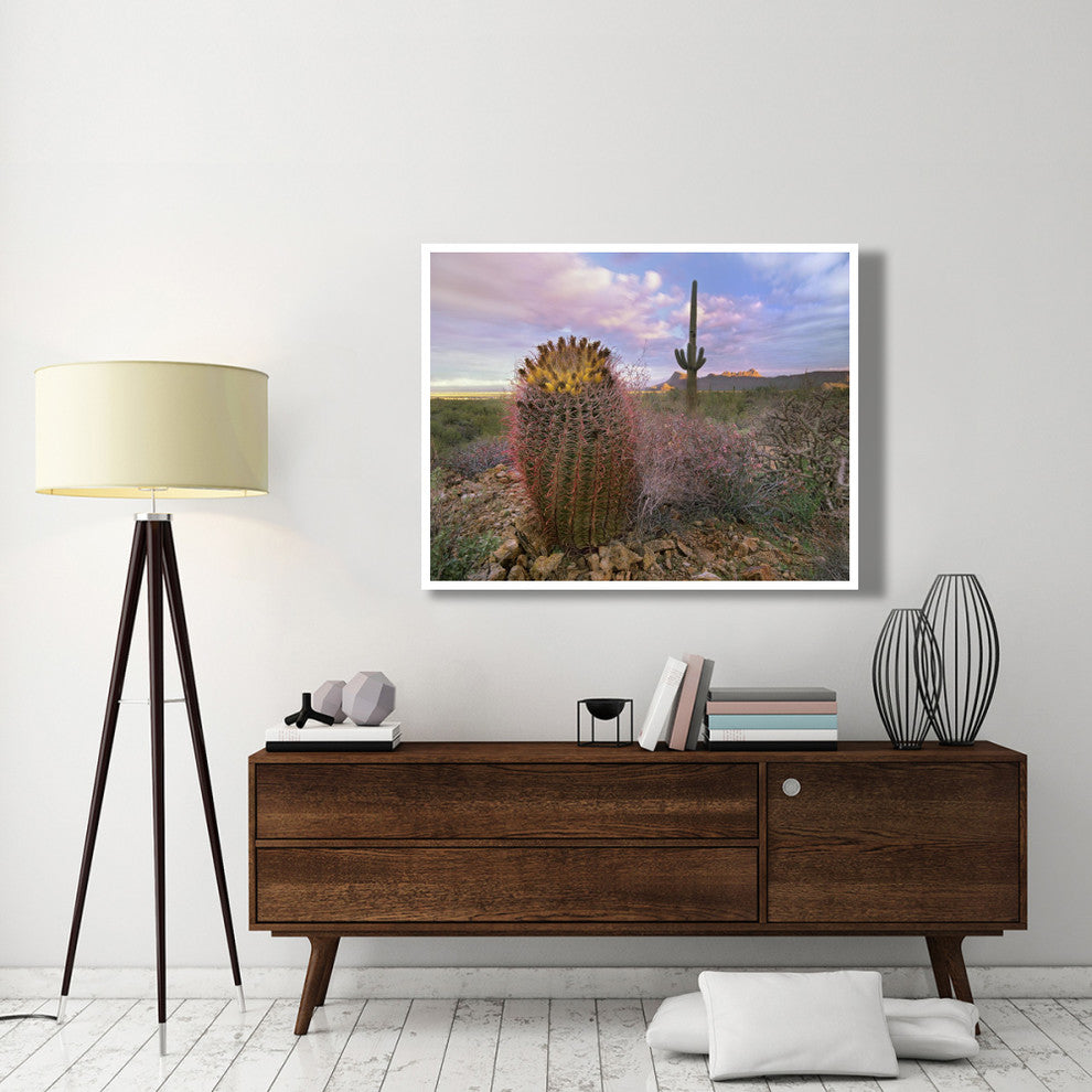 "Saguaro and Giant Barrel Cactus, Saguaro National Park" Paper Art, 50"x38"
