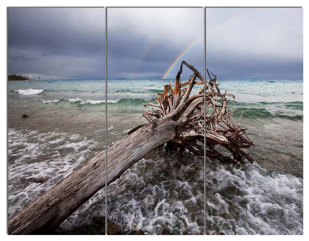Fallen Tree in Storm At Seashore, Seascape Triptych Canvas Art, 36x28, 3 Panels