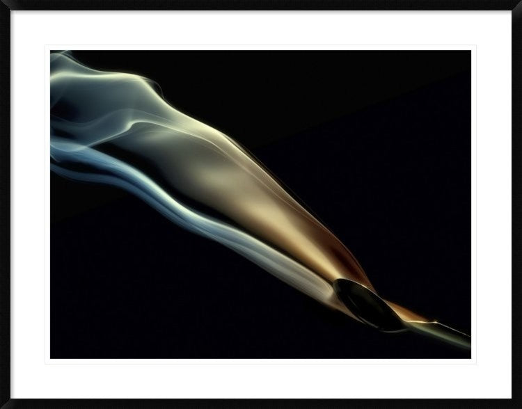 "Silk" Framed Digital Print by Aida Ianeva, 40x32"