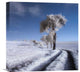"Winter In Summer" Stretched Canvas Giclee by Piotr (Bax) Krol, 16"x16"