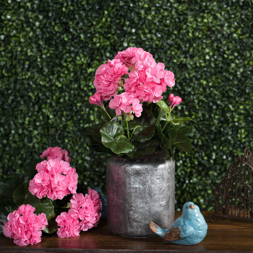 Lifestyle shot: geranium bush in a metal pot set in a real scene with a hedge background.