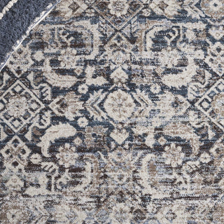 Safavieh Antique Patina ANP634 Rug, Blue/Beige, 5'3"x7'7"