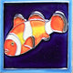 3x3" Clown Fish Ceramic Tile Magnet
