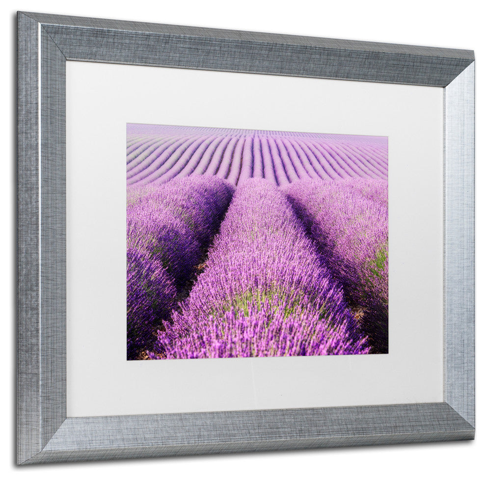 Michael Blanchette 'Purple Hills' Art, Silver Frame, White Mat, 20x16