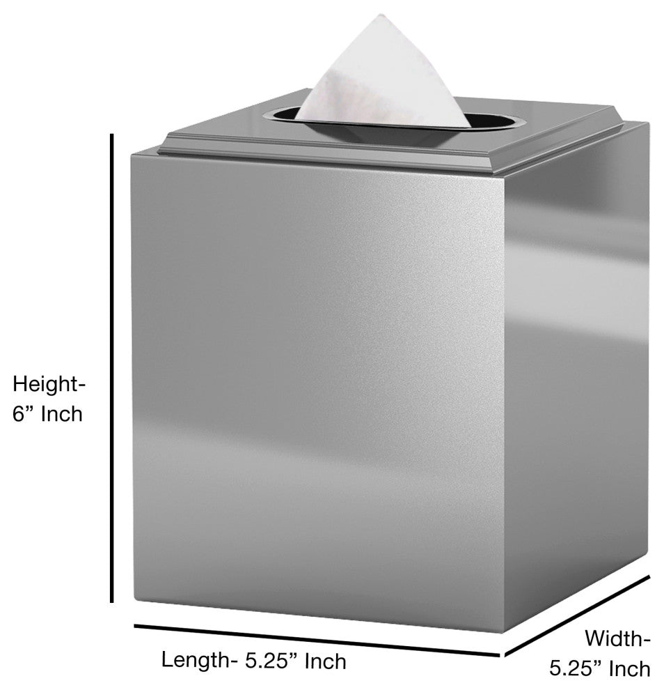 nu steel Stainless Steel Boutique Tissue Holder