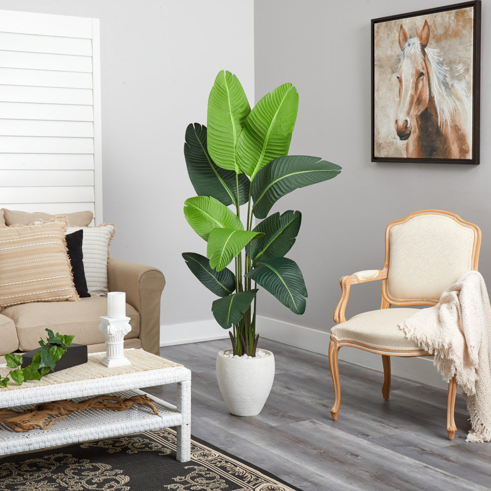 5.5' Travelers Palm Artificial Tree, White Planter