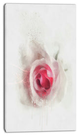 White Rose with Pink Petals, Large Floral Canvas Artwork, 16"x32"