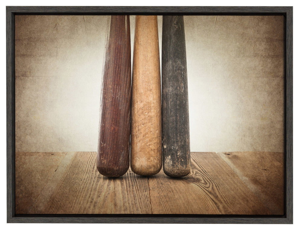 Sylvie Three Vintage Bats Framed Canvas by Shawn St. Peter, Gray 18x24