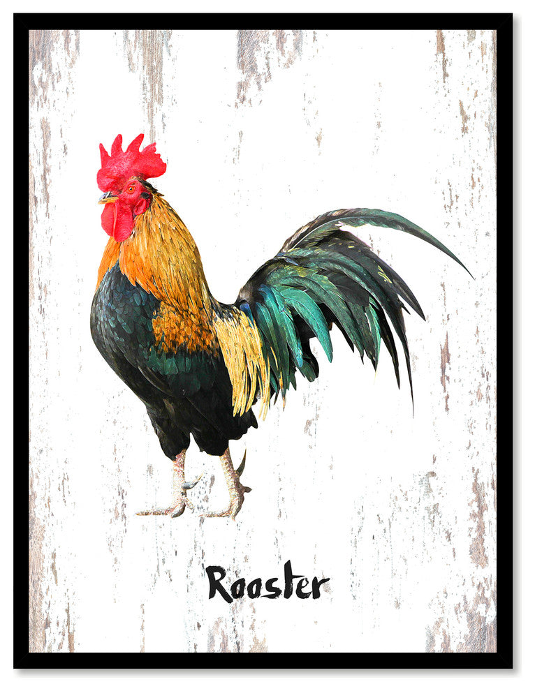 Rooster Bird Canvas Print, 28"x37"