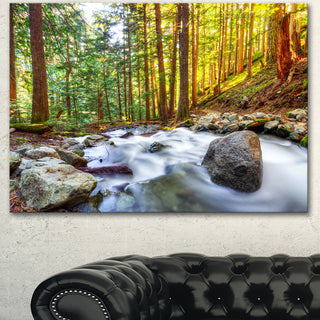 Creek Flowing Through Forest, Landscape Canvas Art Print, 40"x30"