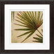 8"x8" Organic Ii Matted Framed Art